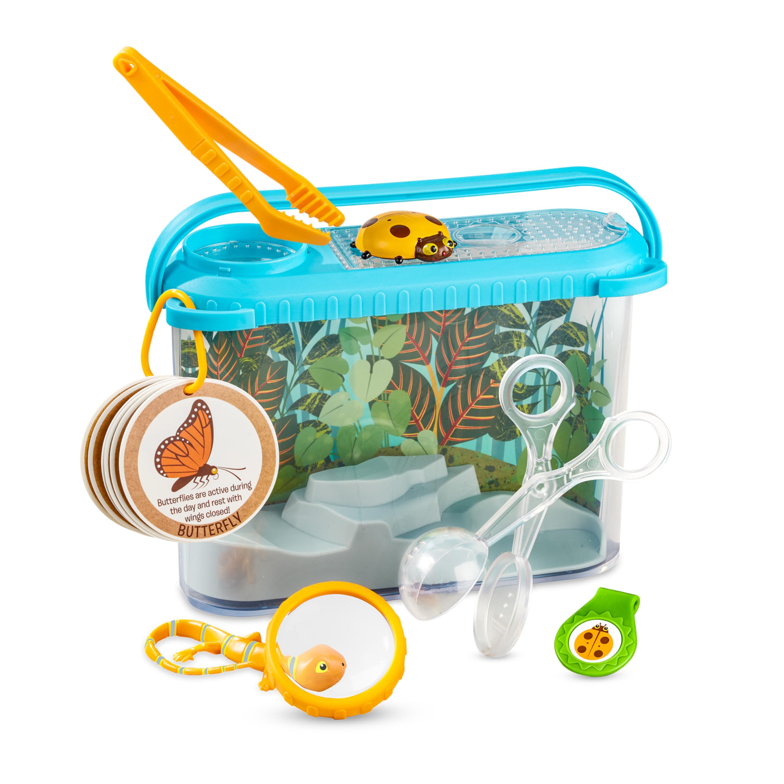 toys by nature プレイベース　2枚セット Amazon.com: Melissa & Doug Let's Explore Terrarium Observations